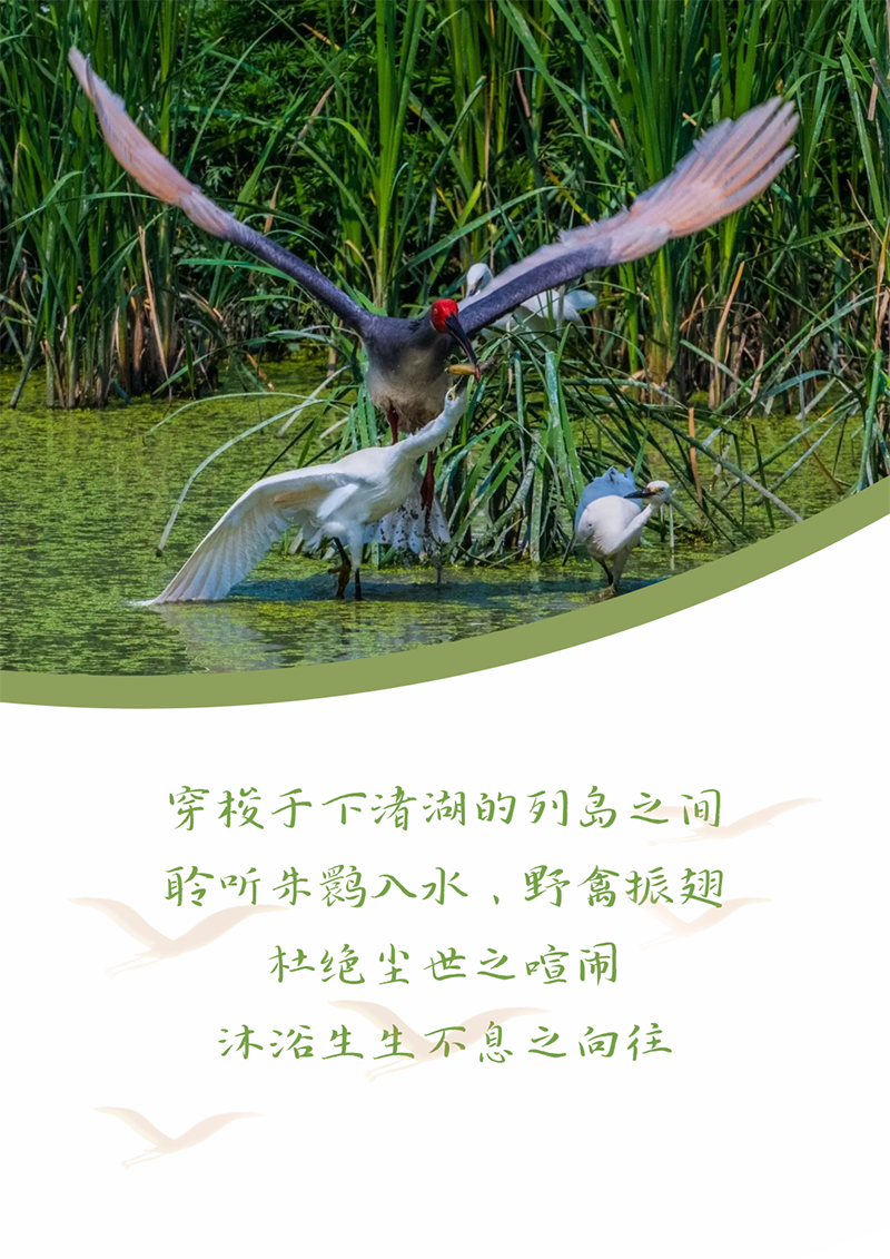 心心念廿 相伴云顶集团4008 | 与德清相约 贺廿载诞辰